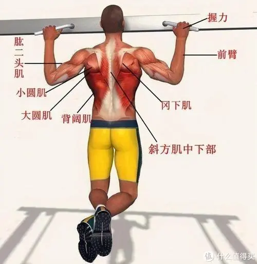 网球拍2022款什么时候推出 网球拍2022款什么时候推出
